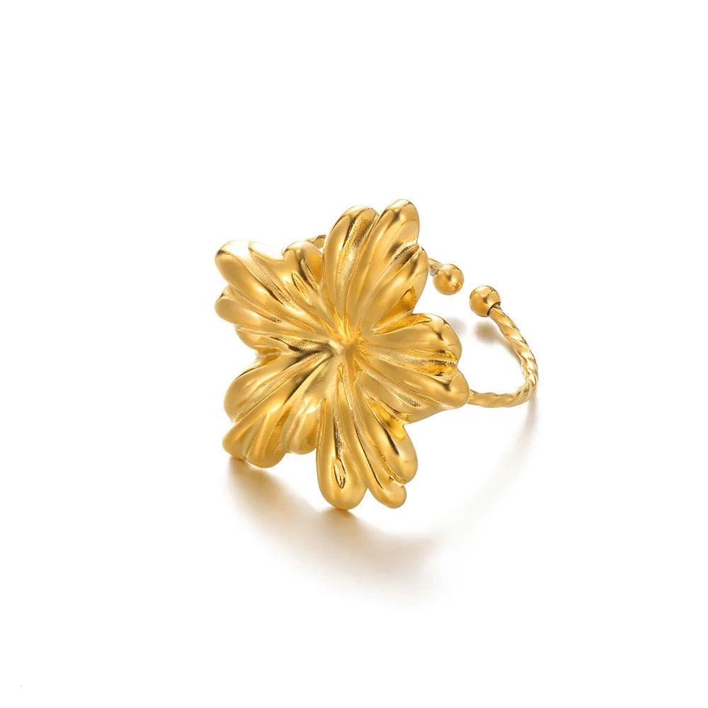 Hibiscus