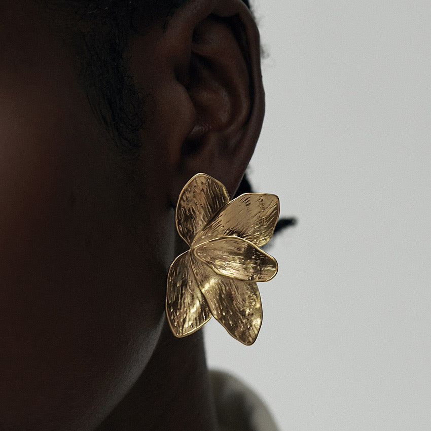 Boucle d'oreille