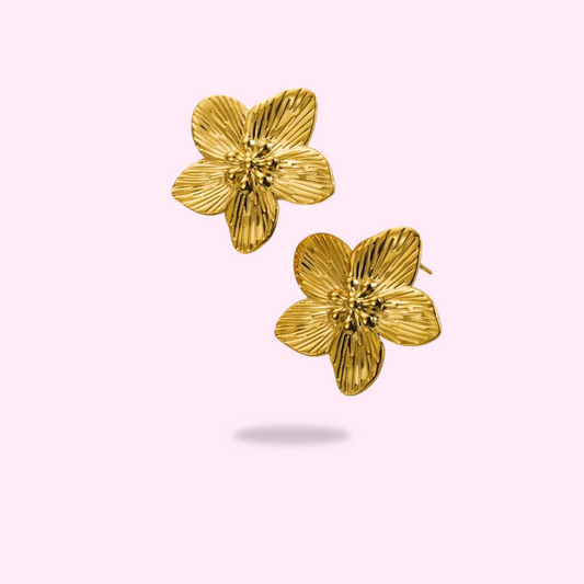 Orchidées￼
