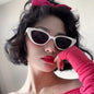 Lunettes de soleil