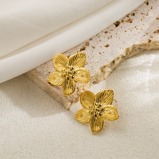 Orchidées￼